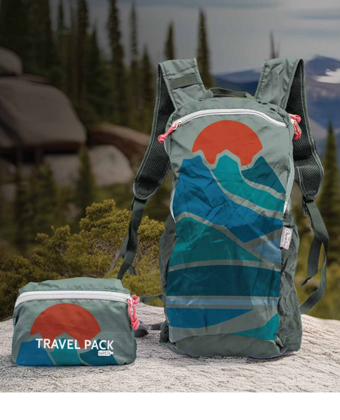 Chico Bag Travel Pack