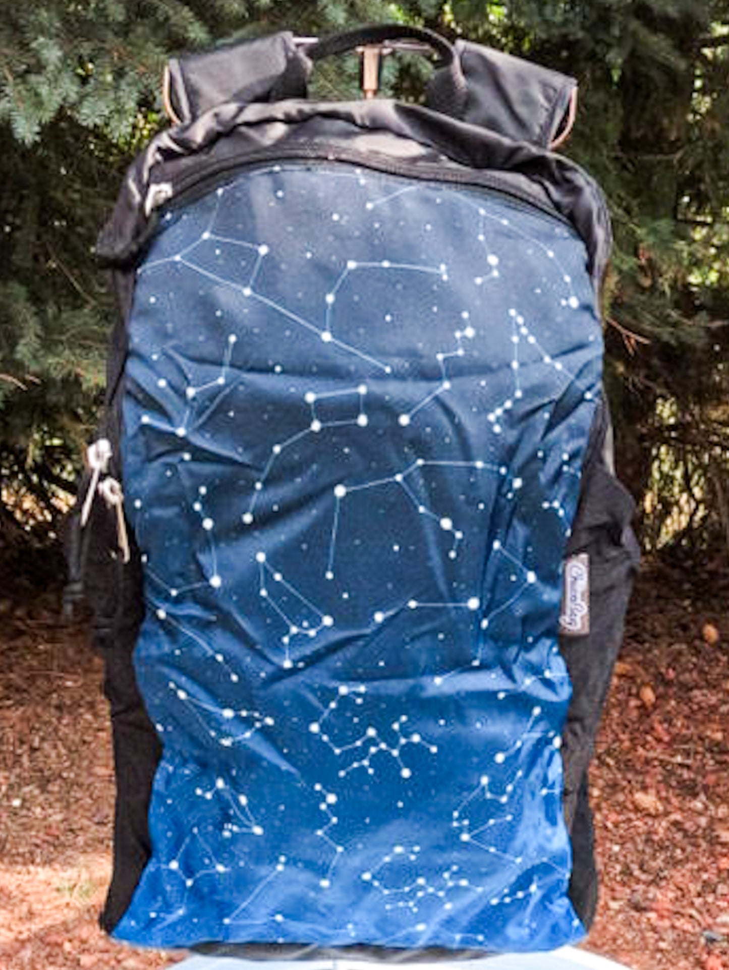 Chico Bag Travel Pack