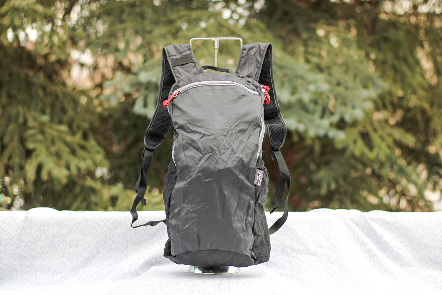 Chico Bag Travel Pack