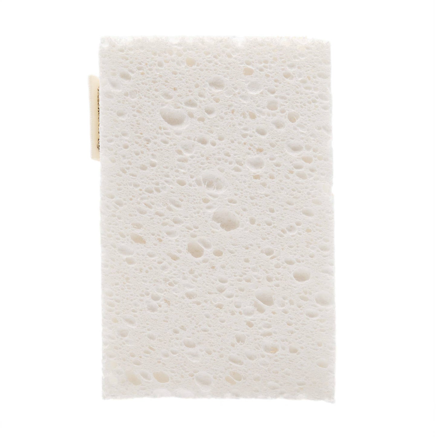 100% Compostable Kitchen Sponges, 2 pack