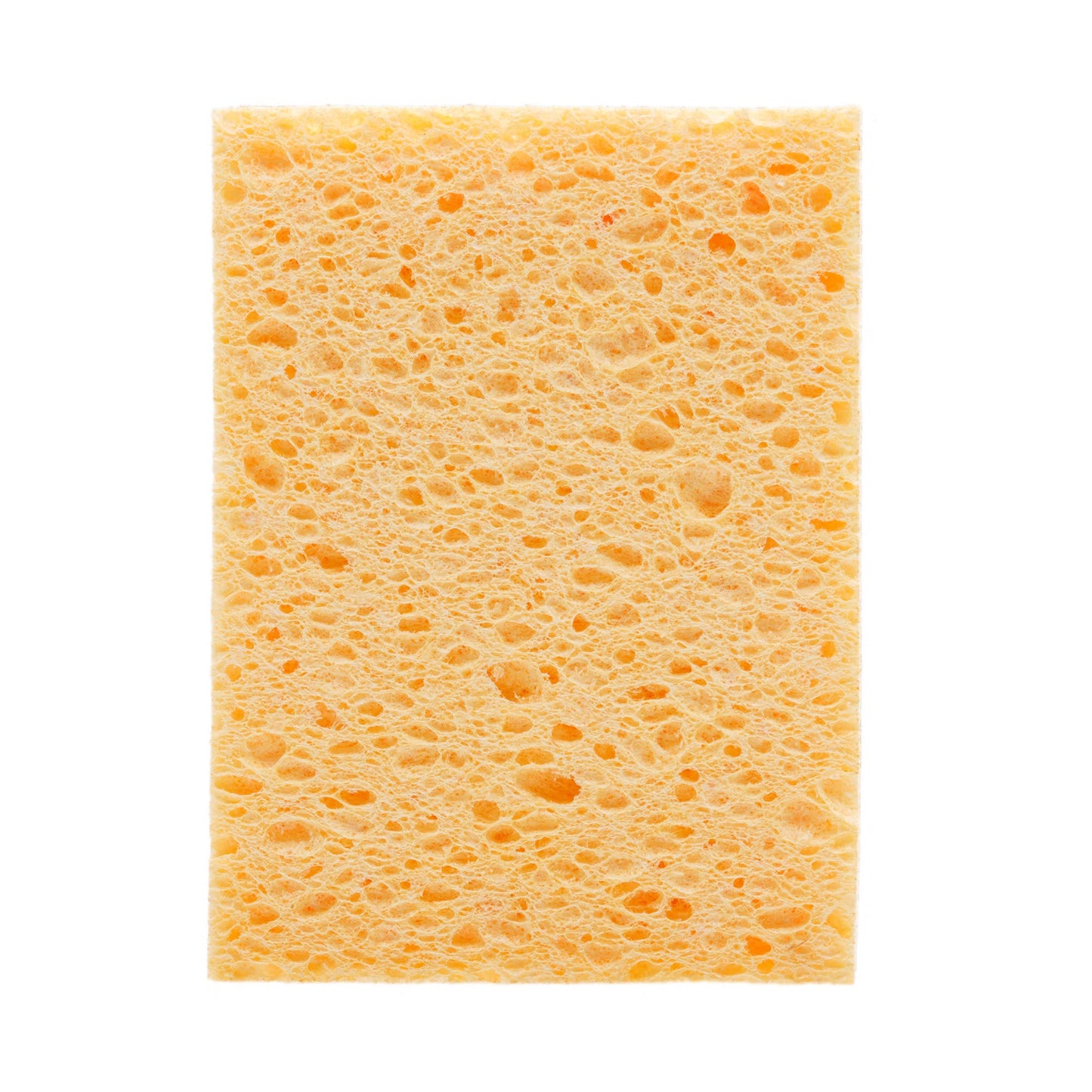 100% Plant-Based Heavy Duty Scrubbing Sponge