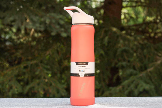 Eco Vessel Summit Insulated Water Bottle